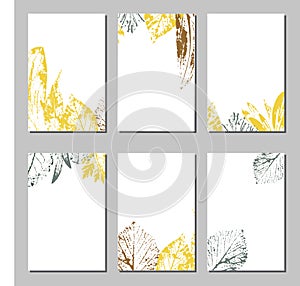 Collection of vector template label, visit cards, square greeting cards and banners with home plants, wild flowers and