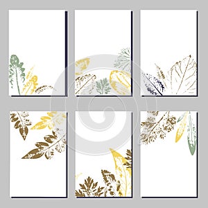 Collection of vector template label, visit cards, square greeting cards and banners with home plants, wild flowers and