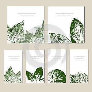 Collection of vector template label, visit cards, square greeting cards and banners with home plants, wild flowers and