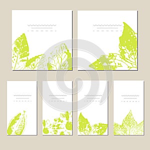 Collection of vector template label, visit cards, square greeting cards and banners with home plants, wild flowers and