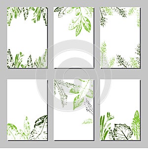 Collection of vector template label, visit cards, square greeting cards and banners with home plants, wild flowers and