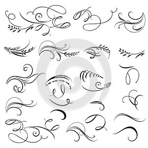 Collection of vector vintage calligraphic flourishes for design photo