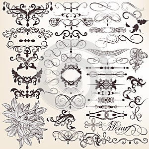 Collection of vector vintage decorative and calligraphic elemen