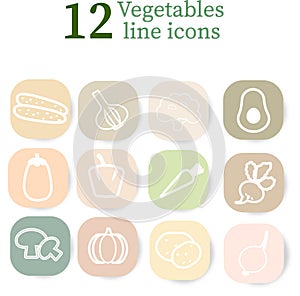 Collection of vegetables icons. Set of  vegetables on the light colourful stickers. Vector illustration