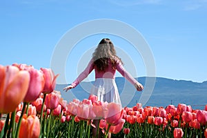 collection of videos and photos where a girl in a white skirt walks through field with tulips blue background sky