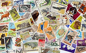 Collection of vintage animal stamps photo