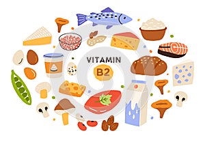 Collection of vitamin B2 sources. Food containing riboflavin. Cottage cheese, mushrooms, fish, dairy products, nuts