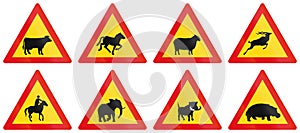 Collection of Warning Road Signs Used in Botswana