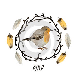 Collection of watercolor bird Robin, branches, spring twigs and feathers, illustration in vintage style.