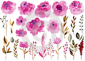 Collection of watercolor flowers, leaves and branches in pink, crimson and brown colors