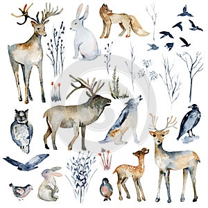 Collection of watercolor forest animals