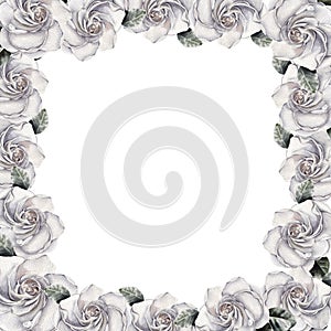 Collection of watercolor hand drawn floral frame. Camellia floral frames for creating invitations, posters, cards.