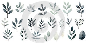 Collection of watercolor leaves in various shades isolated on white background