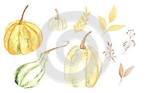 Collection of watercolor pumpkins for decor and design. Clipart of pumpkins.