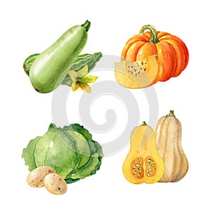 Collection of watercolor vegetables isolated on white background