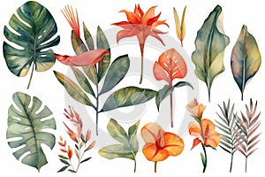 Collection of watercolor wild tropical leaves and flowers, jungle plant leaves isolated on white background, monstera, hibiscus fl