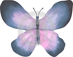 A collection of watercolour butterflies, scalable vector drawings