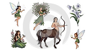 Fantasy forest creatures and flora illustration