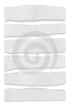 Collection of white paper tear isolated on white
