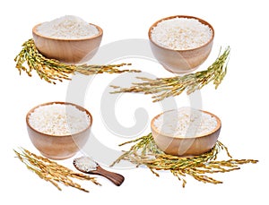 Collection of white rice and unmilled rice isolated on white