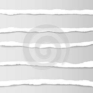 Collection of white torn paper. Vector illustration. EPS10