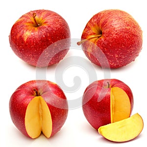 Collection of whole and sliced apples photo