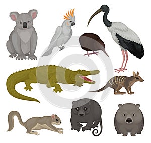 Set of wild Australian animals and birds. Fauna theme. Detailed vector elements for poster of zoo or children book