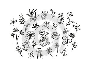 Collection of wild flowers, poppies, dandelions, different branches of leaves in doodles