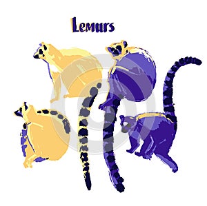 Collection of wild lemurs drawn in the technique of rough brush in vibrant colors