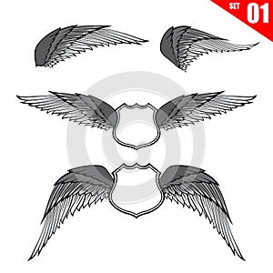 001 Collection of wings design element vector illustration eps10