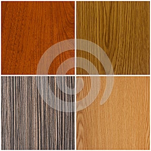 Collection of wood background