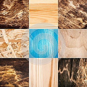 Collection of wood textures