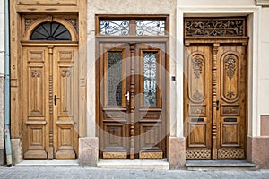 Set of isolated wooden doors