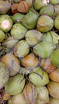 a collection of young coconuts