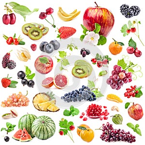 Collections of fruits