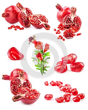Collections of Pomegranate fruits