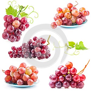 Collections of Red grape