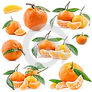 Collections of Tangerines