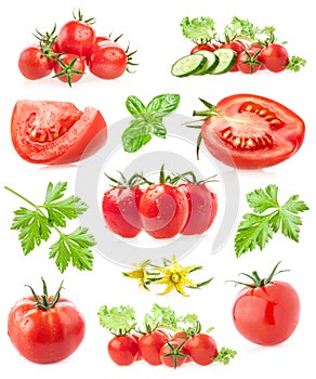 Collections of tomatoes photo