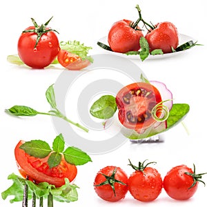 Collections of Tomatoes