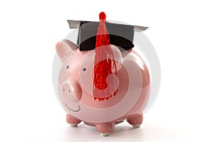 College education costs, tuition financial aid, university graduate economic cost concept theme with close up on piggy bank