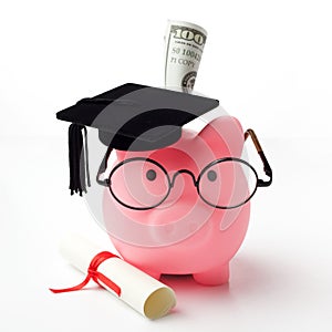College graduate student diploma piggy bank isolated on white background