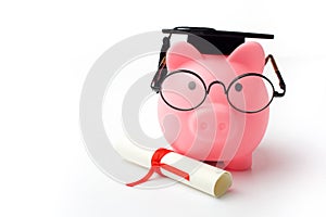 College graduate student diploma piggy bank isolated on white background