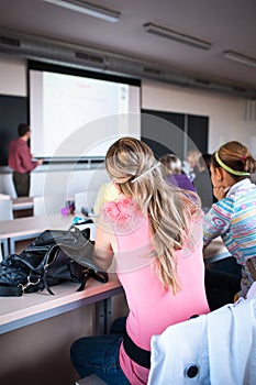 College students sitting in a classroom during class