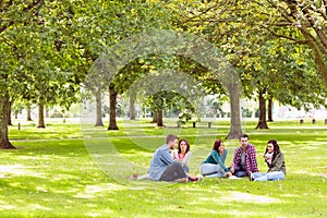 College students sitting on grass in park