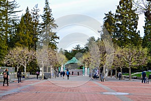 College Students Walking to Class