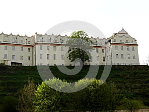 The Collegium Gostomianum