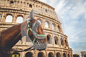 The Collessium by eye of an horse