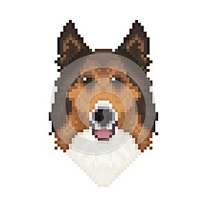 Collie dog head in pixel art style.