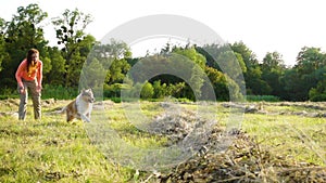 Collie dog training with adorable girl running on field